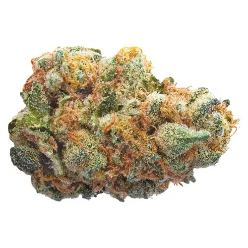 GMO Cookies